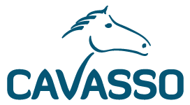 Cavasso